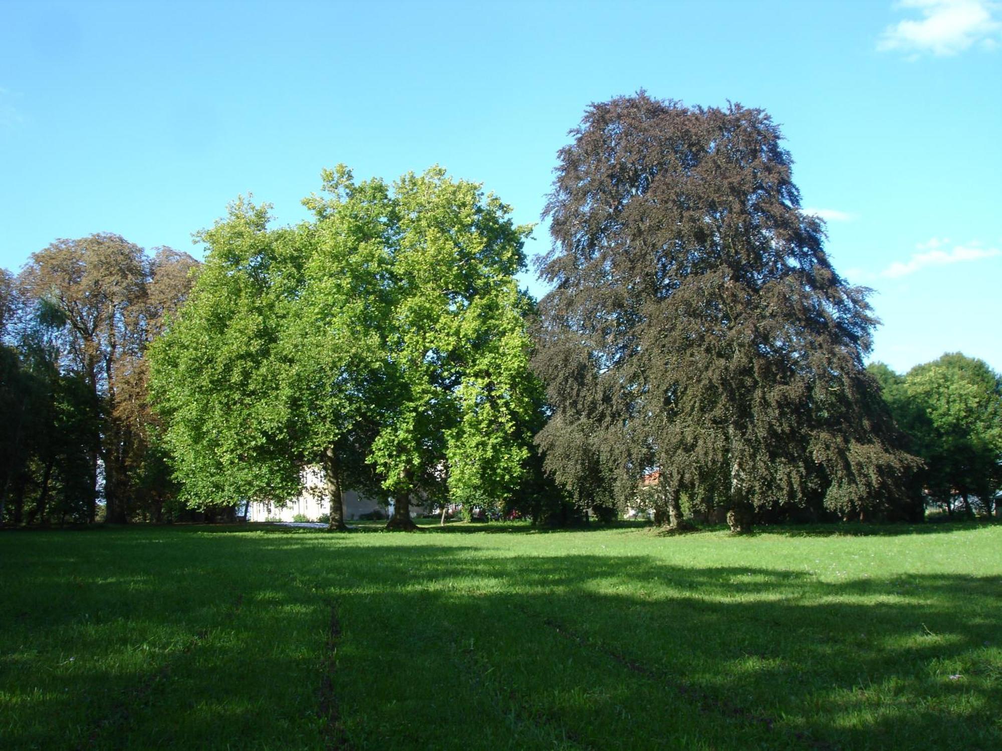 Maison D'Hotes Le Chateau De Puxe Exterior foto